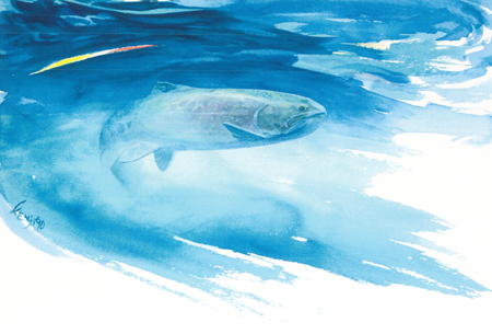 阿賀野川アート紀行 星野健司『阿賀野川のさかなたち展』 開催報告